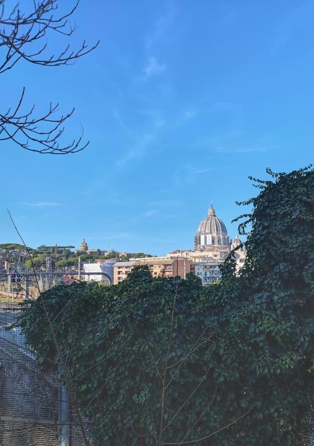 דירות רומא Timeless St Peter Terrace מראה חיצוני תמונה